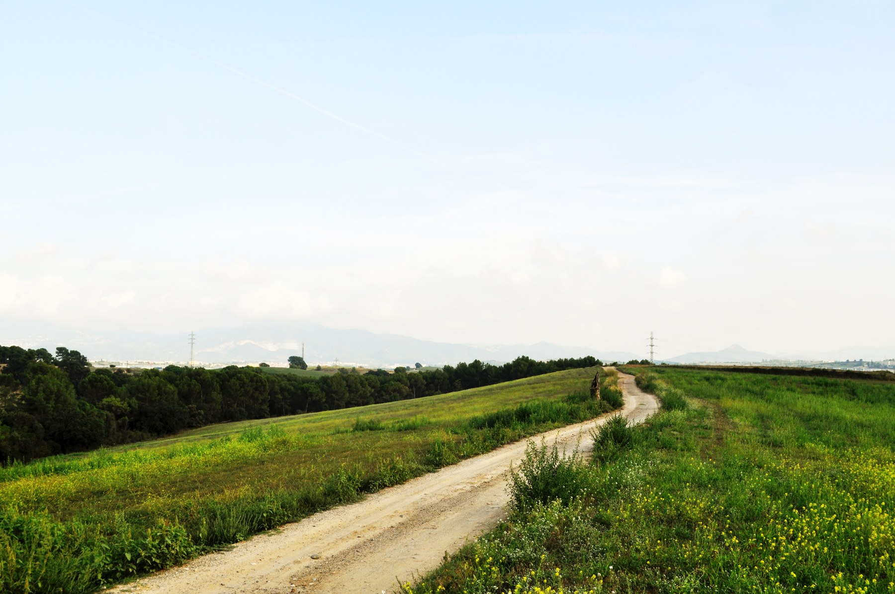 Landscape path in Santiga