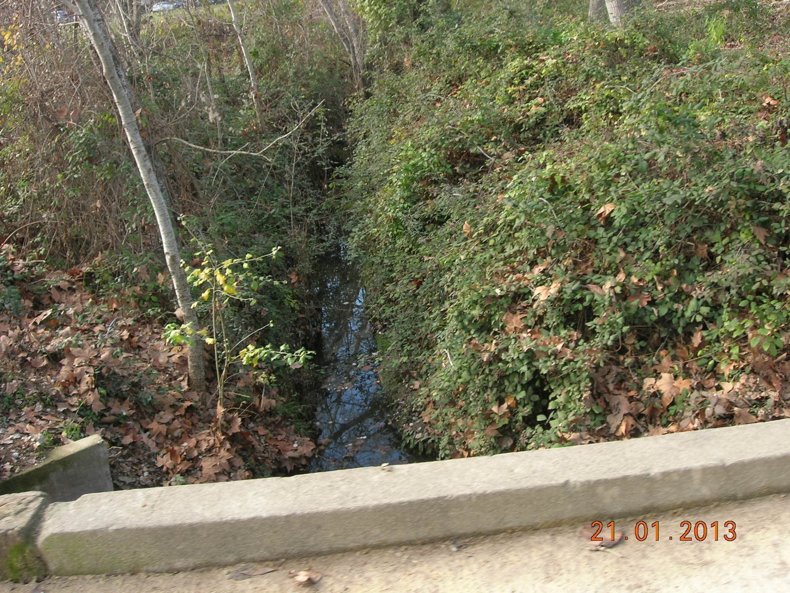 Stream valley