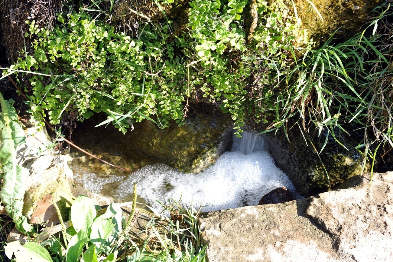 Water stream in the estate